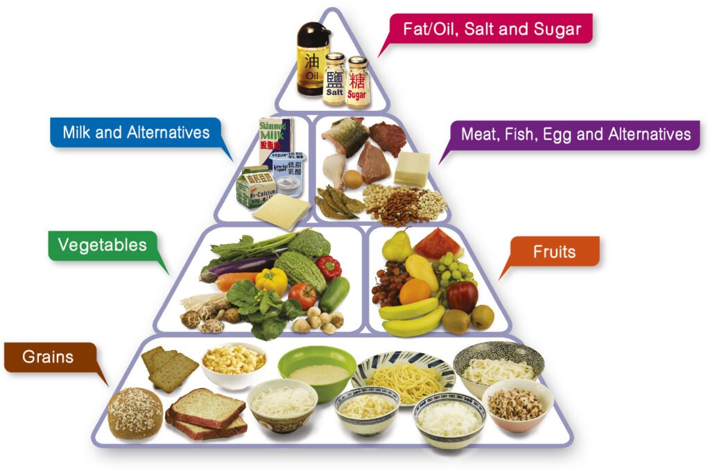 Balanced diet plan for daily lifestyle